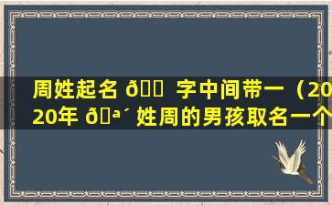 周姓起名 🐠 字中间带一（2020年 🪴 姓周的男孩取名一个字）